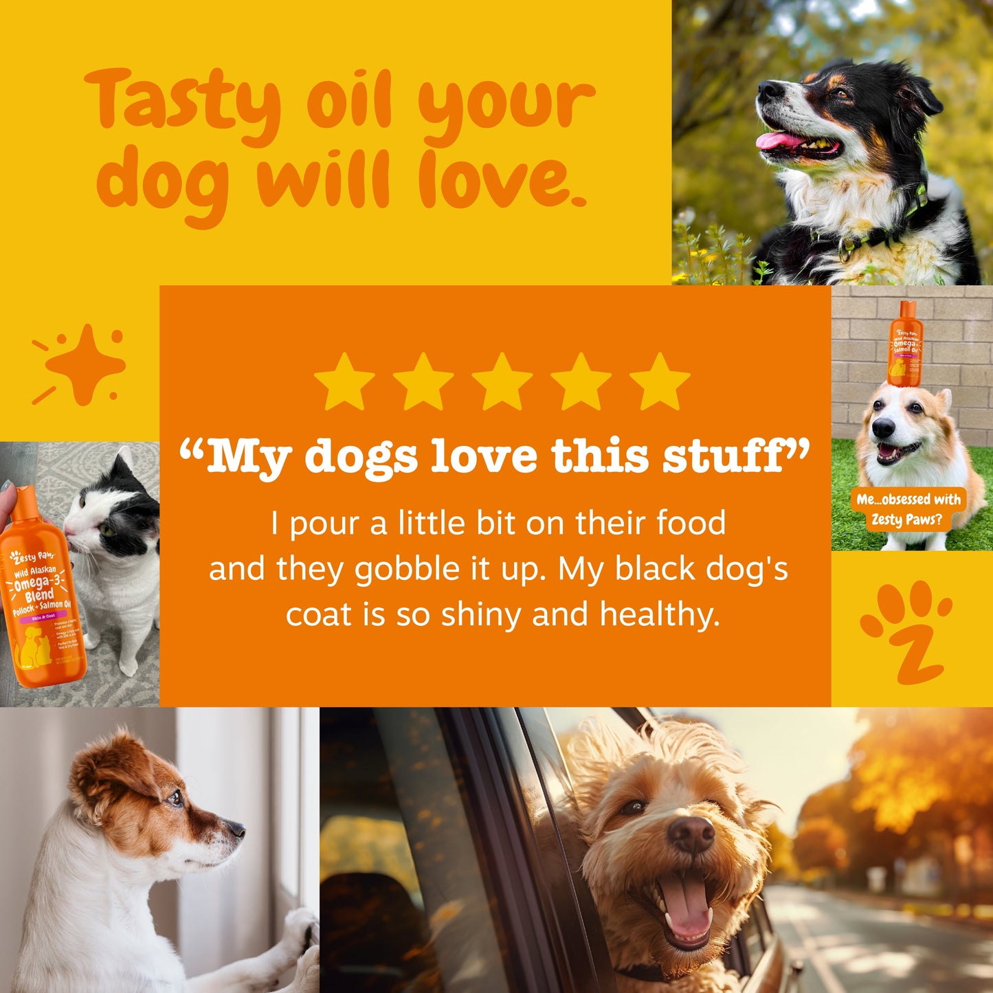 Wild Alaskan Omega-3 Blend Pollock + Salmon Oil for Dogs & Cats, Promotes a Healthy Coat & Skin, 16Oz